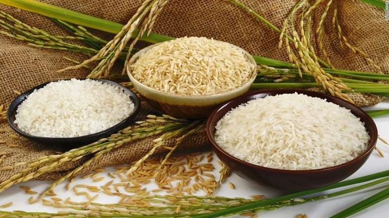 fortified rice