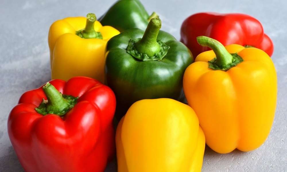 How To Grow Capsicum At Home