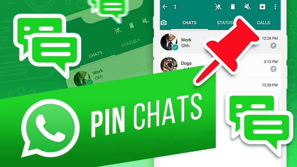 WhatsApp chat Pin