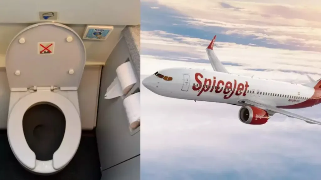 Spicejet