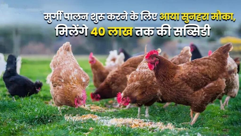 Poultry Farm