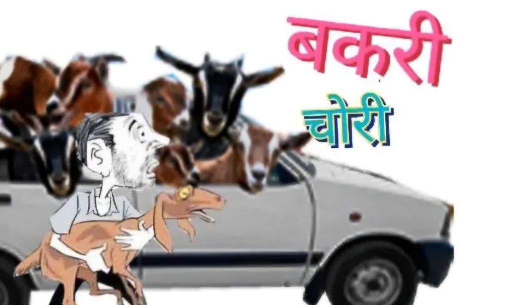 Bakri chor