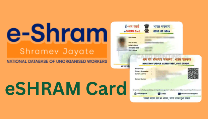 eSHRAM Card