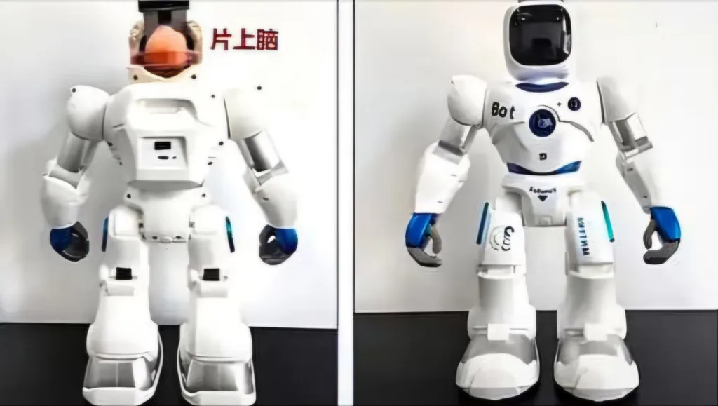 China robot with human brain 1