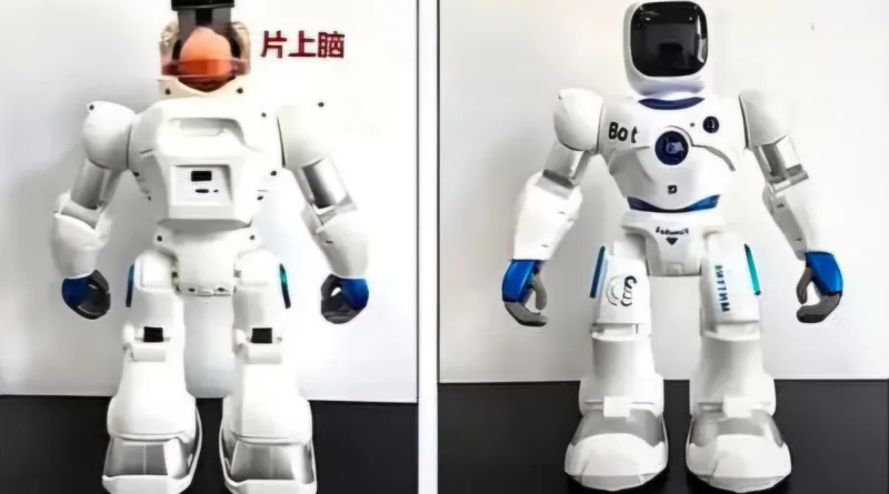 China robot with human brain 1