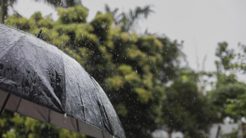 Rain umbrella