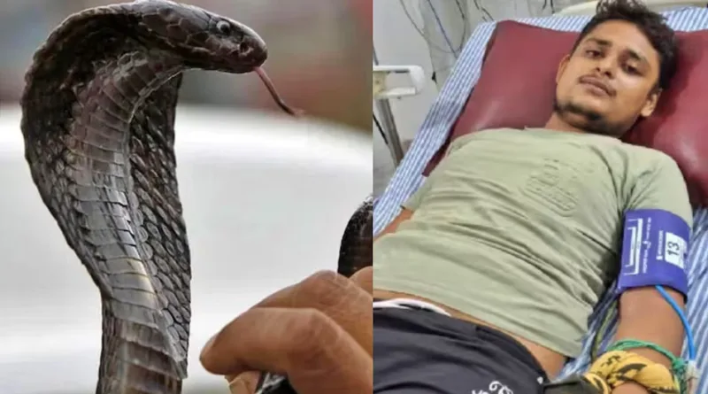 Vikas Dubey Snake Bite