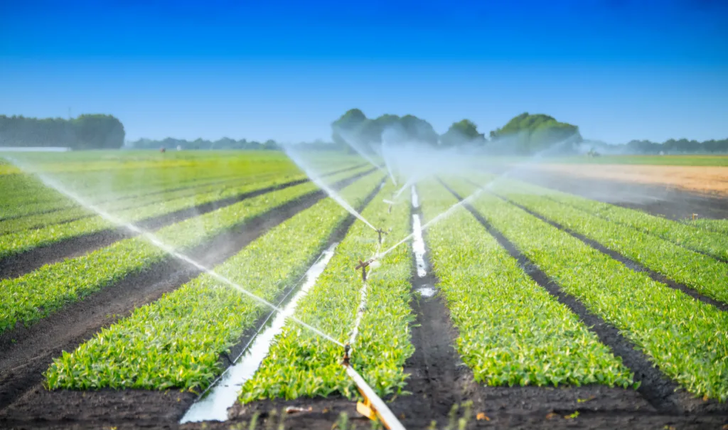 Watering Crops