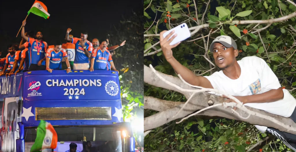 fan climbed a tree