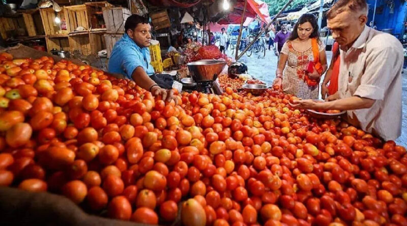 tomato price