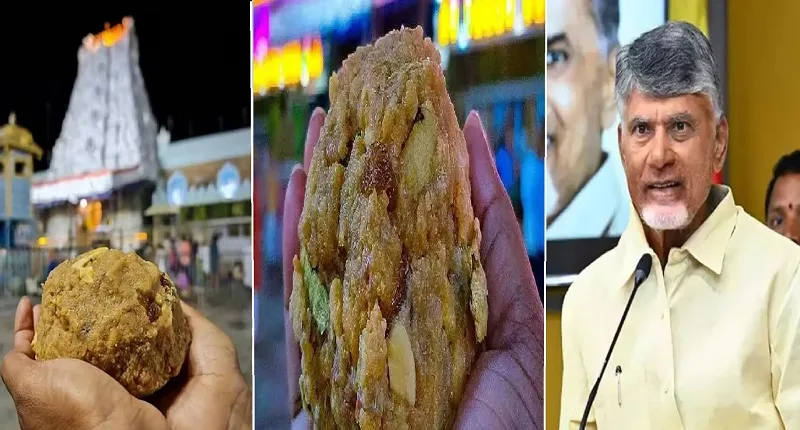 Tirupati Temple Laddu