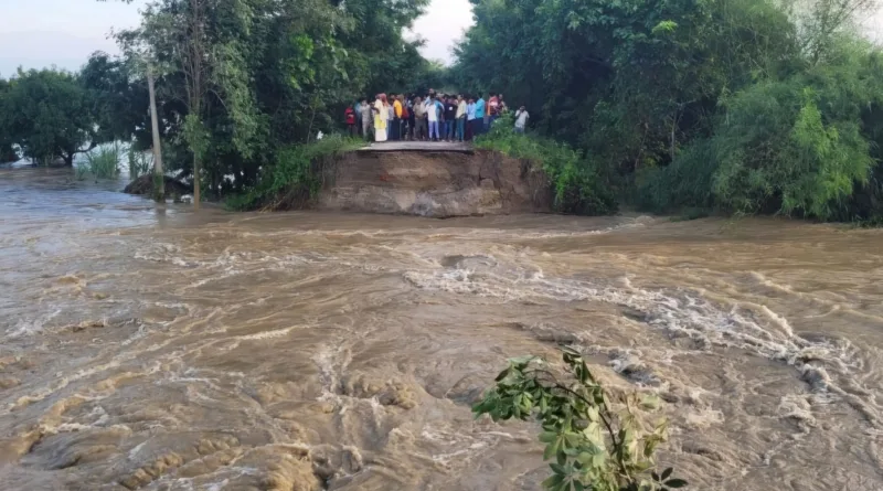 bihar flood news