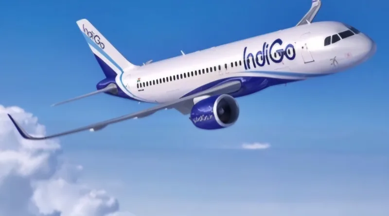 Indigo