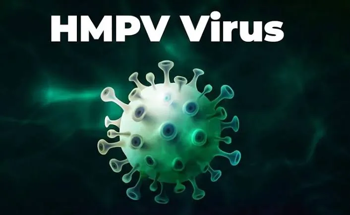 Virus hmp